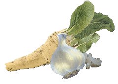Torma,fokhagyma, gyömbér.jpg